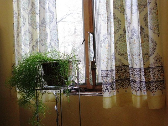 Morning Dew curtains