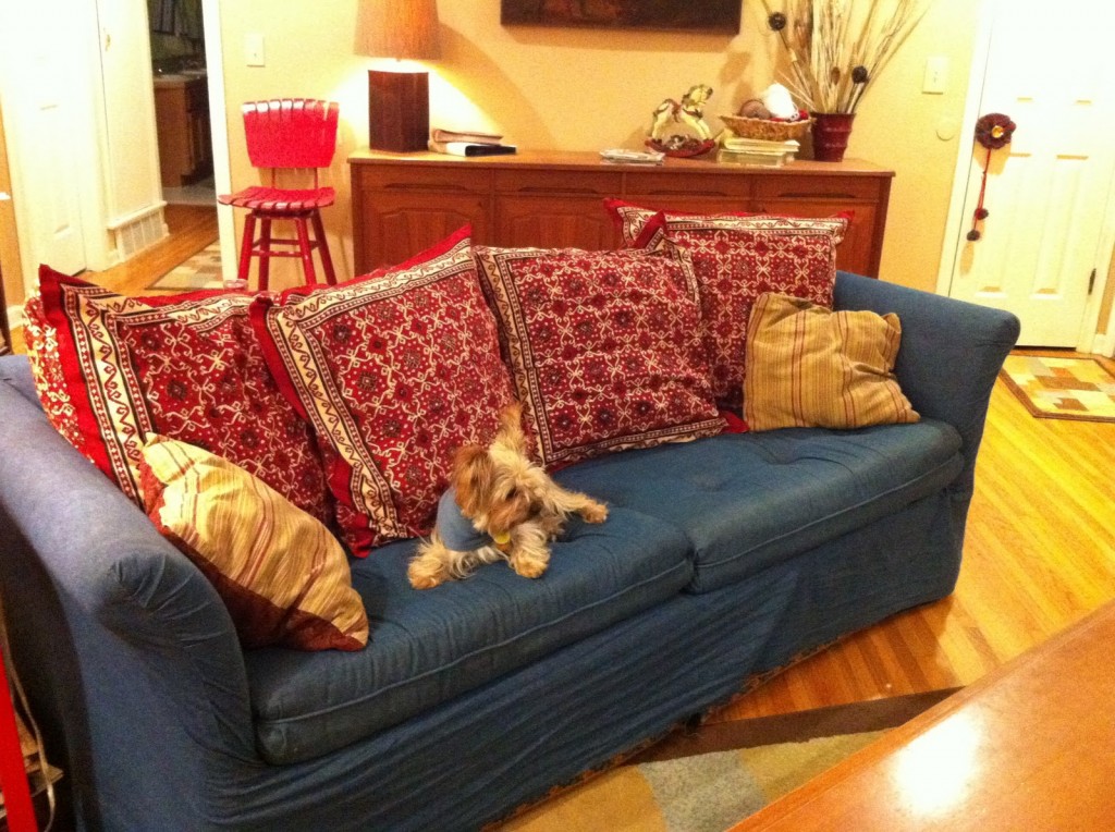 The couch with Ruby Kilim euro shams