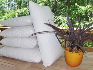 the best pillow inserts