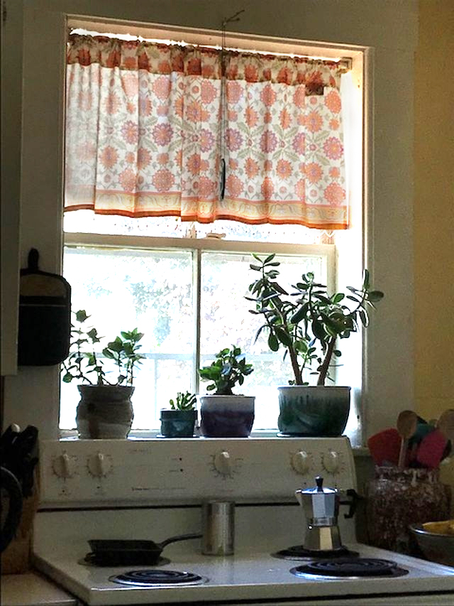plants and a block printed curtain in the kitchen as bohemian home decor