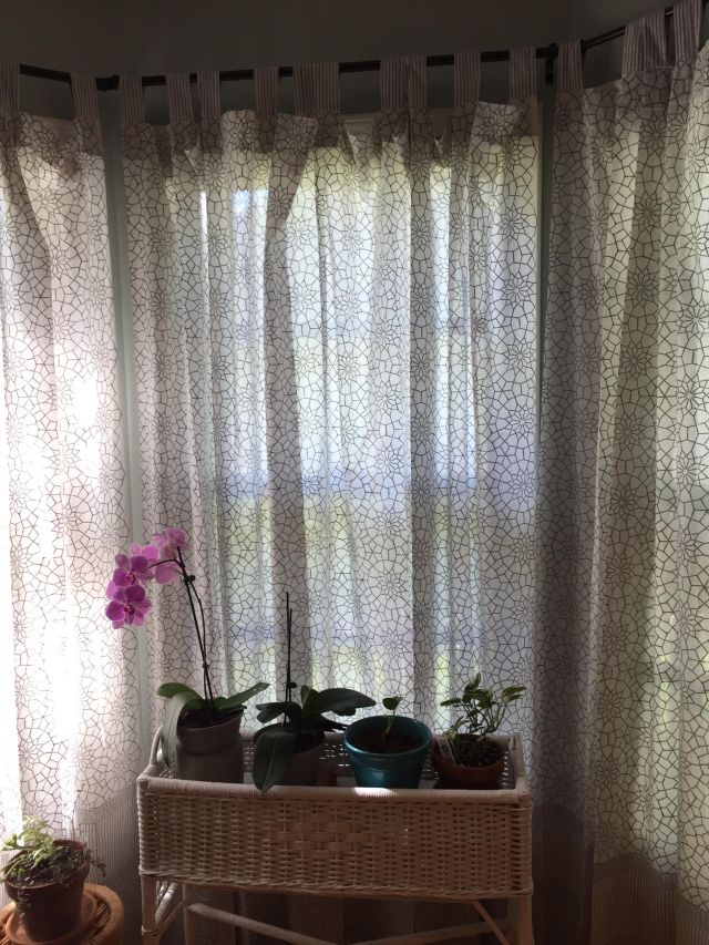 grey and white curtains with Moroccan pattern, wicker planter and flowers
