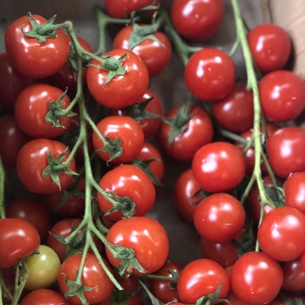 Photograph of cherry tomatoes to illustrate summer colors inspired by Pantone's "Cherry Tomato" red