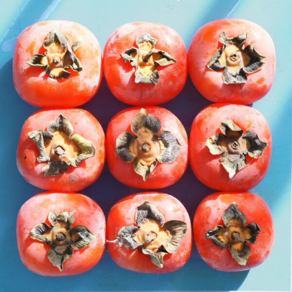 Photograph of persimmons arranged in a three by three square to illustrate summer colors inspired by Pantone's "Persimmon" shade of orange